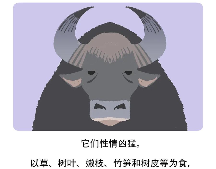 《胖达x胖达》第156话 第22页