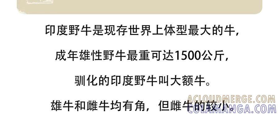 《胖达x胖达》第156话 第21页