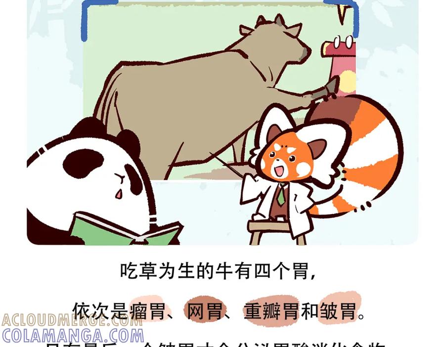 《胖达x胖达》第157话 第25页