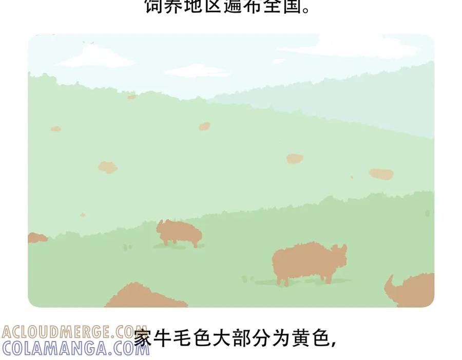 《胖达x胖达》第157话 第19页