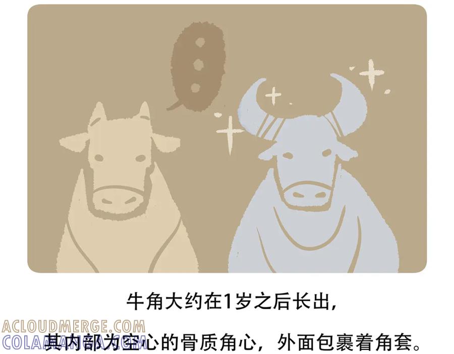 《胖达x胖达》第157话 第21页