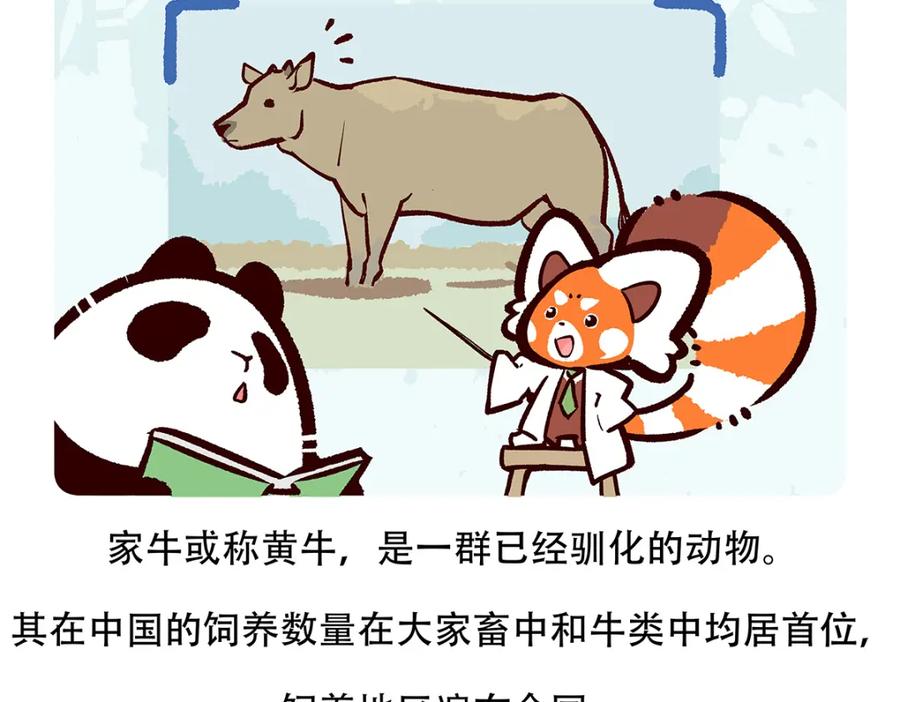 《胖达x胖达》第157话 第18页