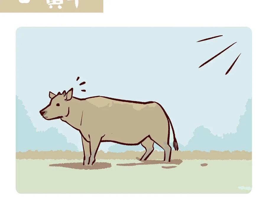 《胖达x胖达》第157话 第8页