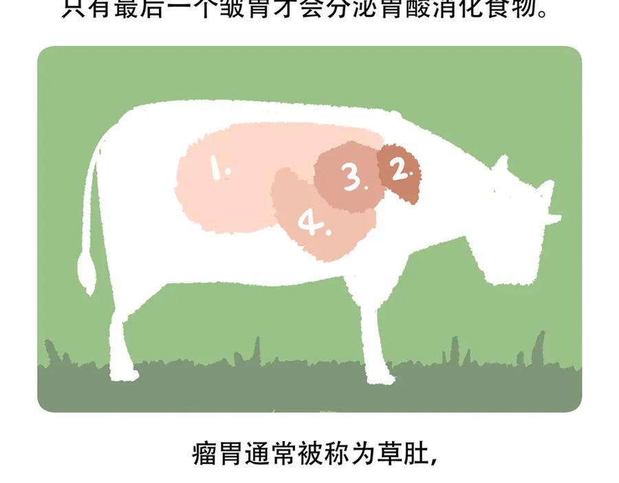 《胖达x胖达》第157话 第26页