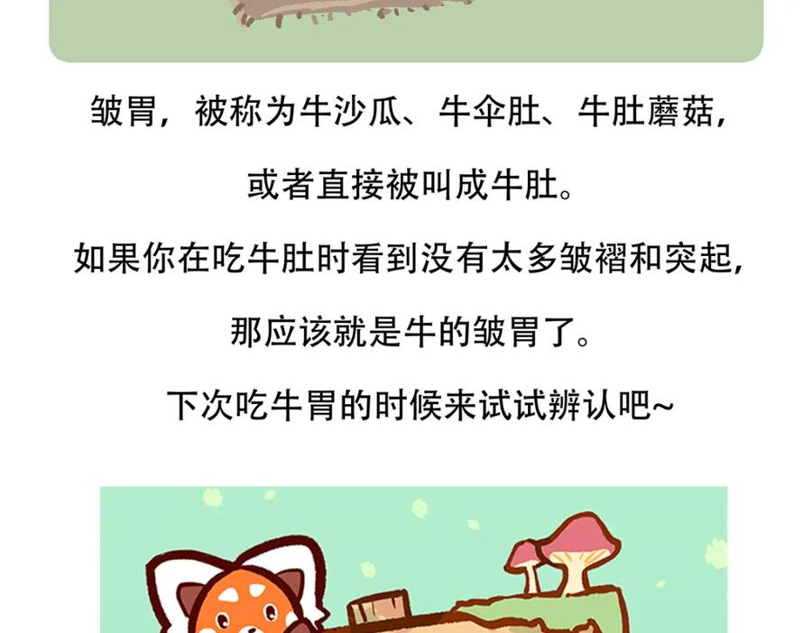 《胖达x胖达》第157话 第30页