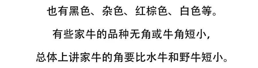 《胖达x胖达》第157话 第20页