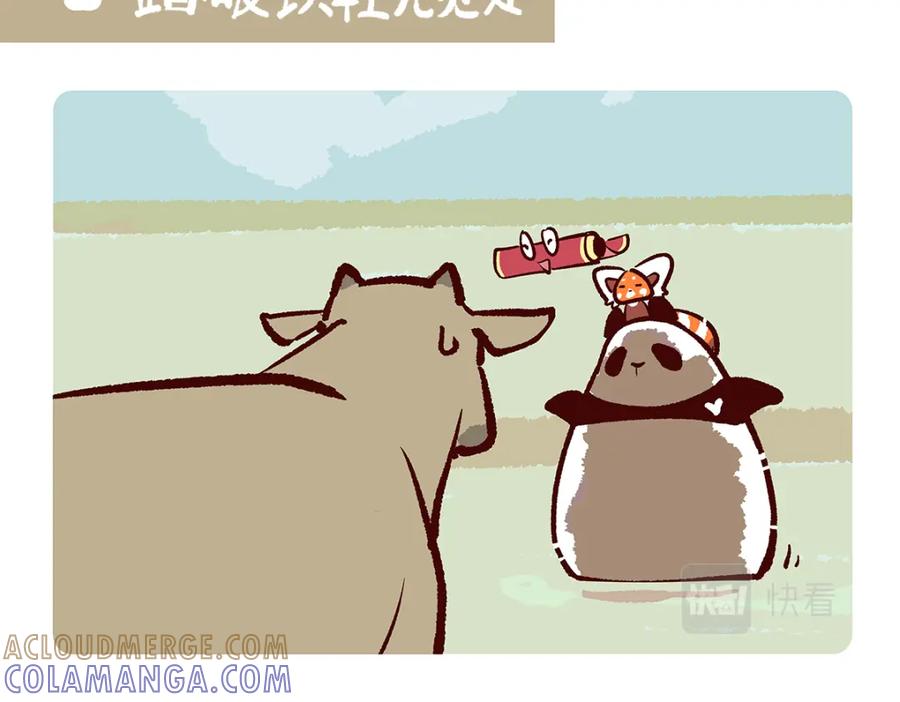 《胖达x胖达》第157话 第13页