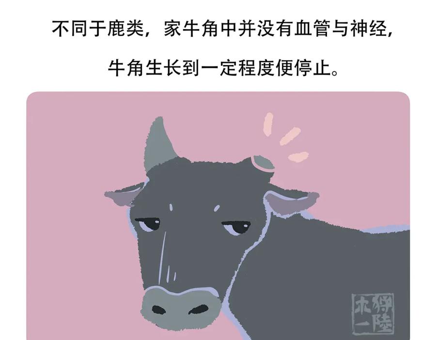 《胖达x胖达》第157话 第22页