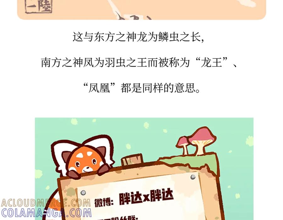 《胖达x胖达》第158话 第31页
