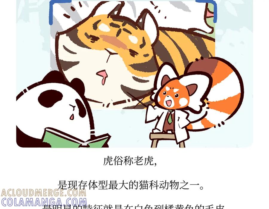 《胖达x胖达》第158话 第19页