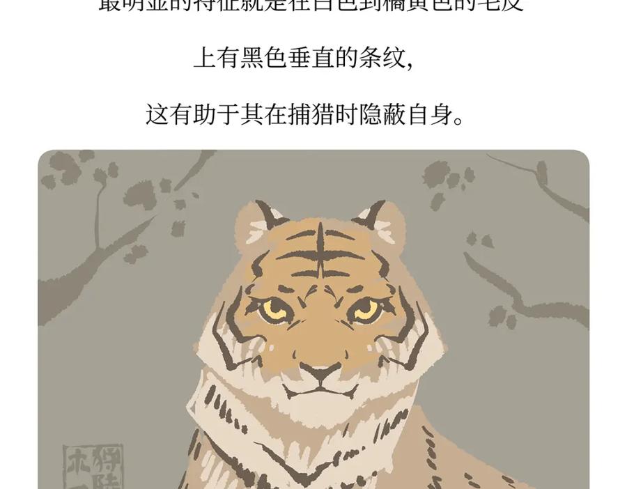 《胖达x胖达》第158话 第20页