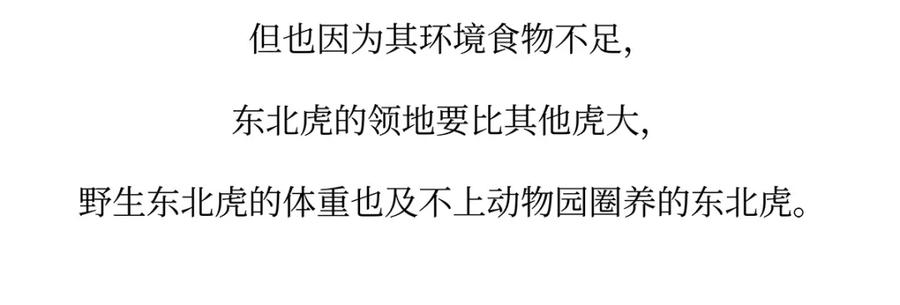 《胖达x胖达》第159话 第24页