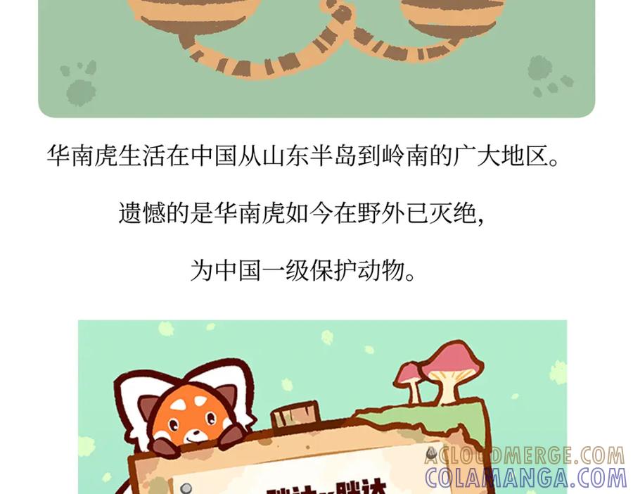 《胖达x胖达》第159话 第31页
