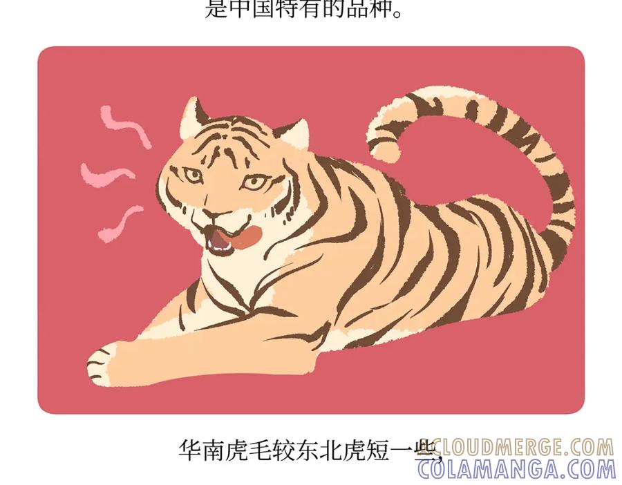 《胖达x胖达》第159话 第27页