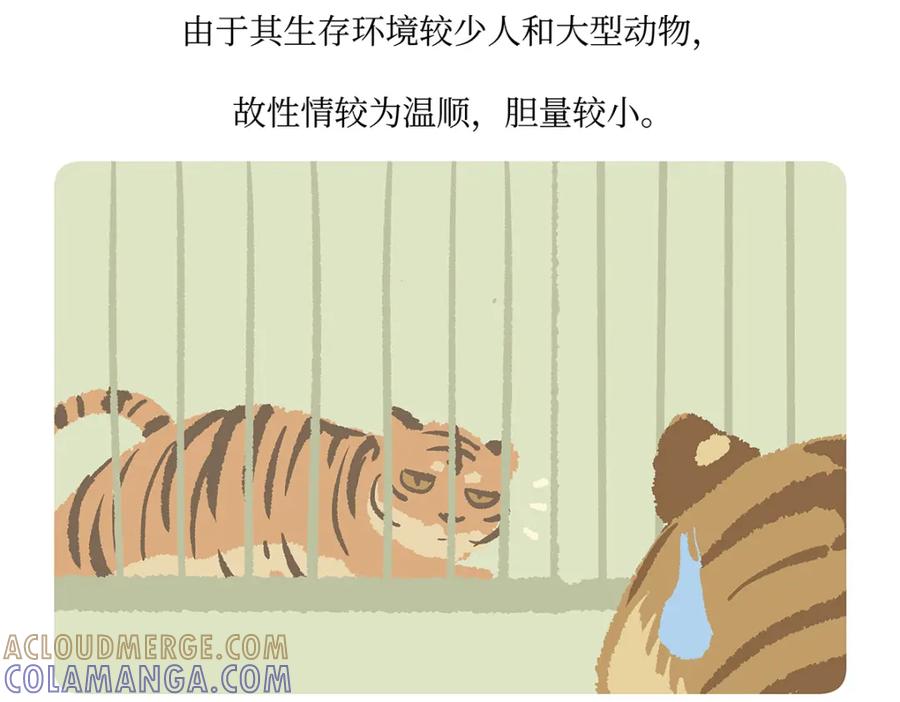 《胖达x胖达》第159话 第23页