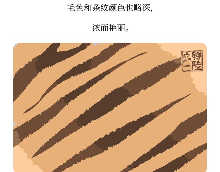 《胖达x胖达》第159话 第28页