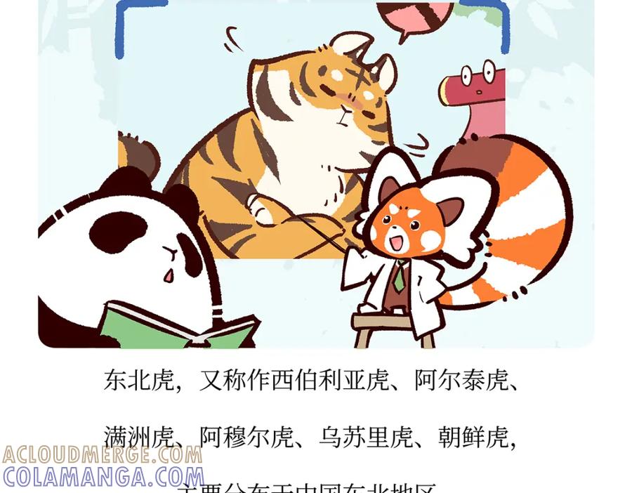 《胖达x胖达》第159话 第19页