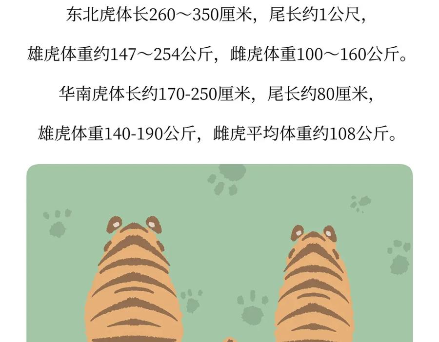 《胖达x胖达》第159话 第30页