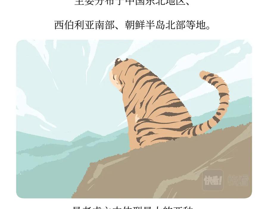 《胖达x胖达》第159话 第20页