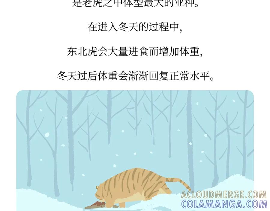 《胖达x胖达》第159话 第21页