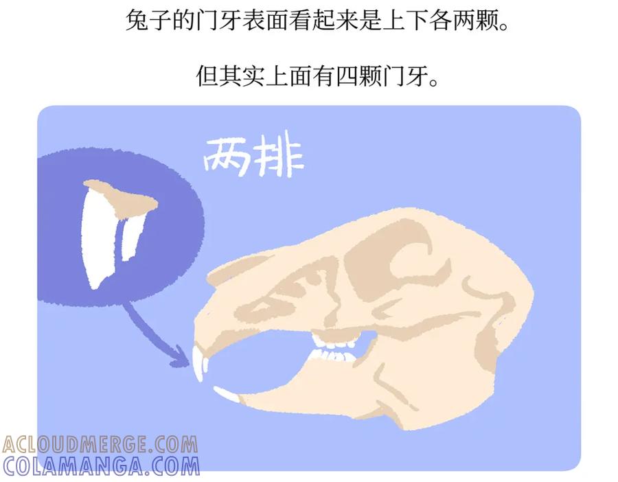 《胖达x胖达》第160话 第31页