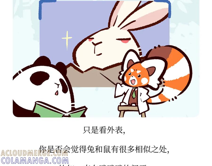 《胖达x胖达》第160话 第27页