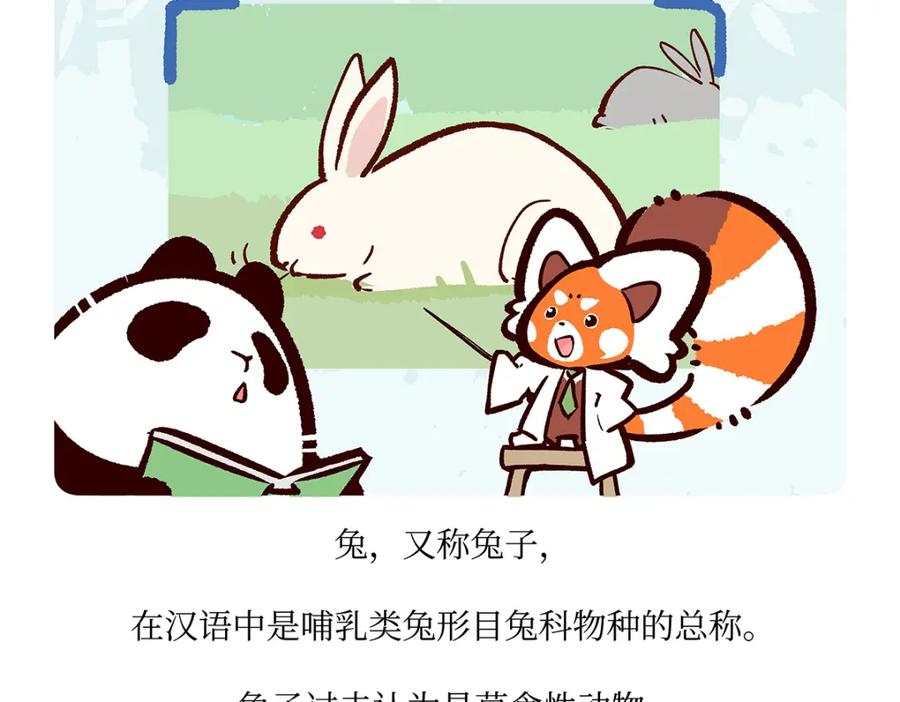 《胖达x胖达》第160话 第20页