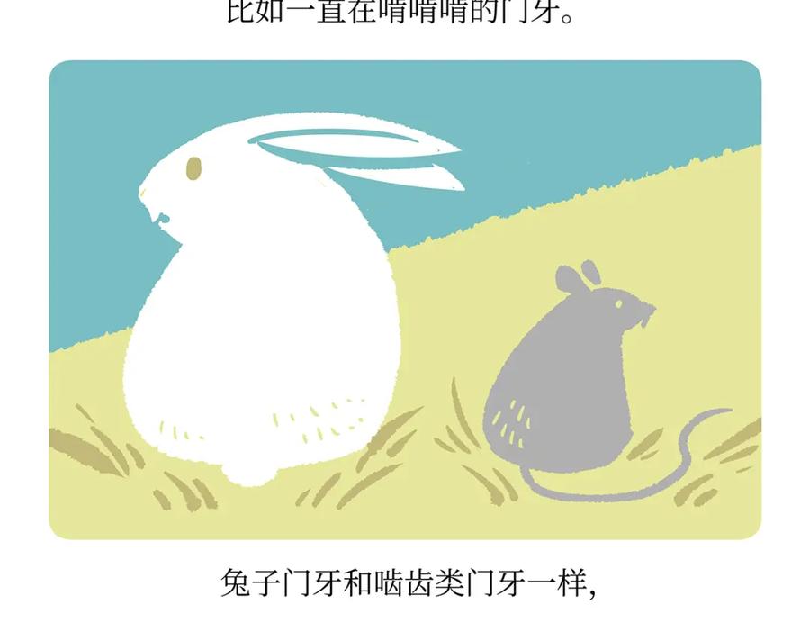 《胖达x胖达》第160话 第28页