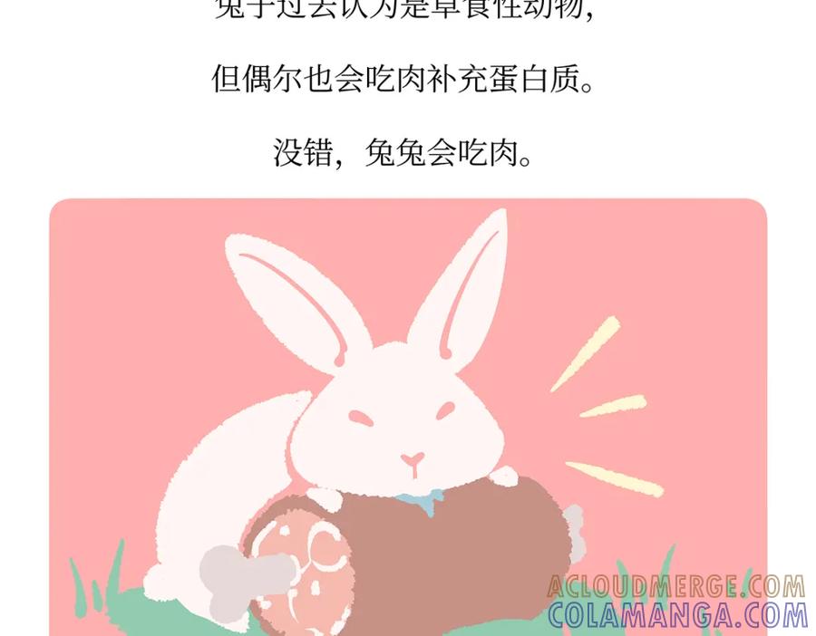 《胖达x胖达》第160话 第21页
