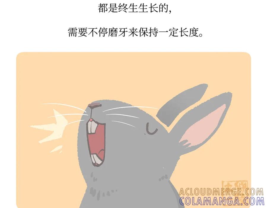 《胖达x胖达》第160话 第29页
