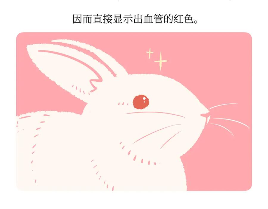 《胖达x胖达》第161话 第22页