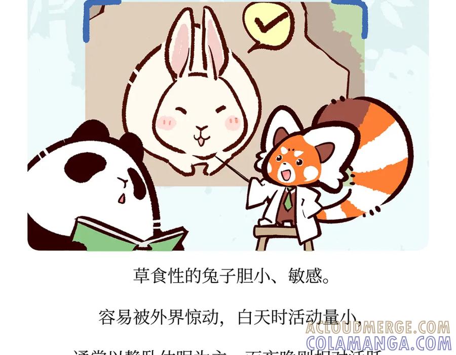 《胖达x胖达》第161话 第25页