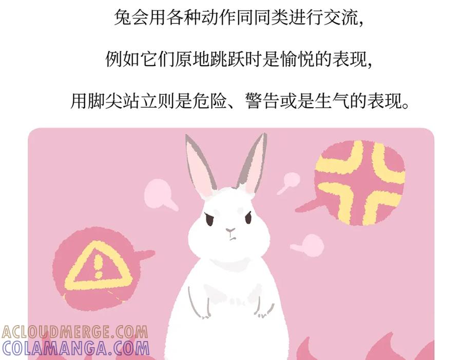 《胖达x胖达》第161话 第29页