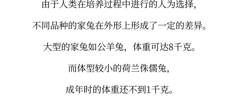 《胖达x胖达》第161话 第20页