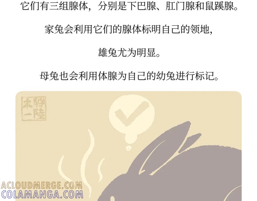 《胖达x胖达》第161话 第27页