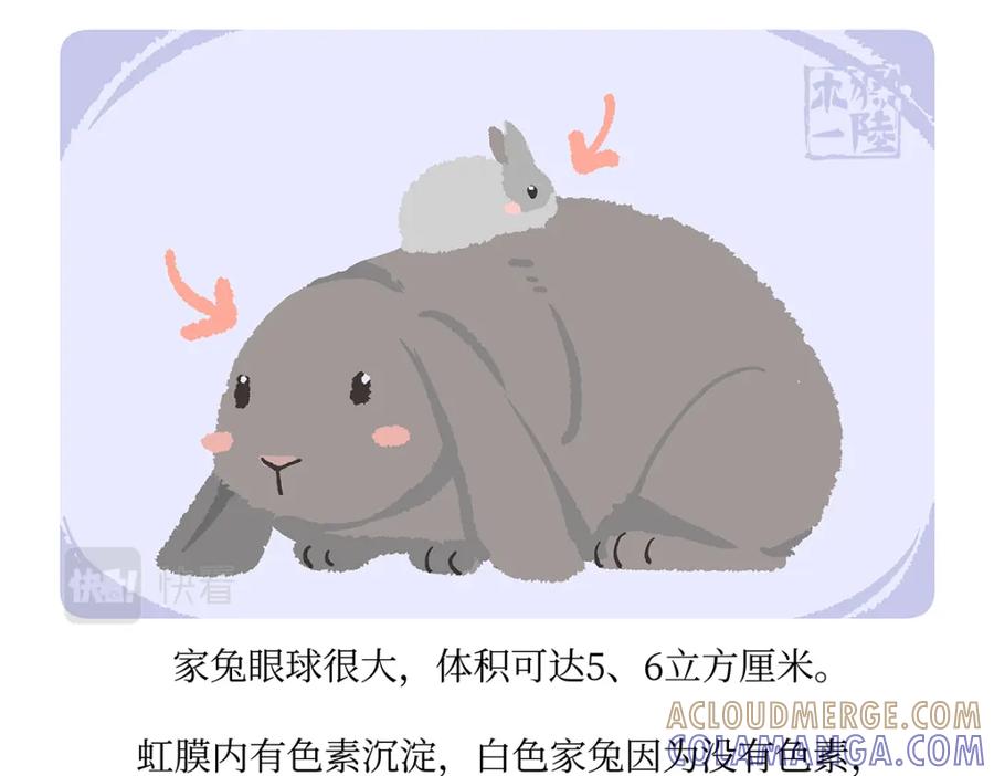 《胖达x胖达》第161话 第21页