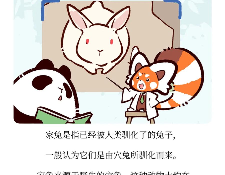 《胖达x胖达》第161话 第18页