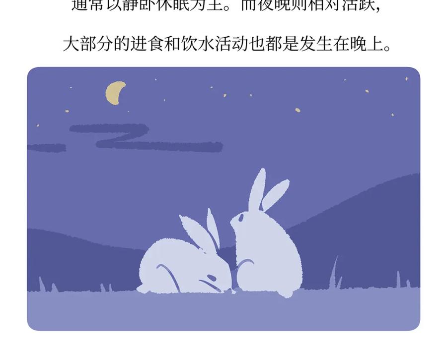 《胖达x胖达》第161话 第26页