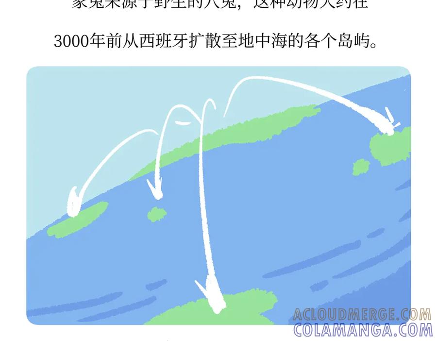 《胖达x胖达》第161话 第19页