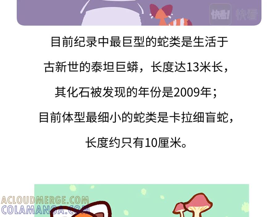 《胖达x胖达》第163话 第29页