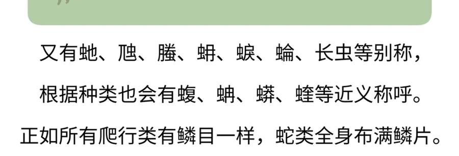 《胖达x胖达》第163话 第20页