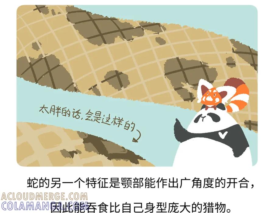 《胖达x胖达》第163话 第21页