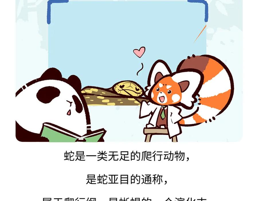 《胖达x胖达》第163话 第18页