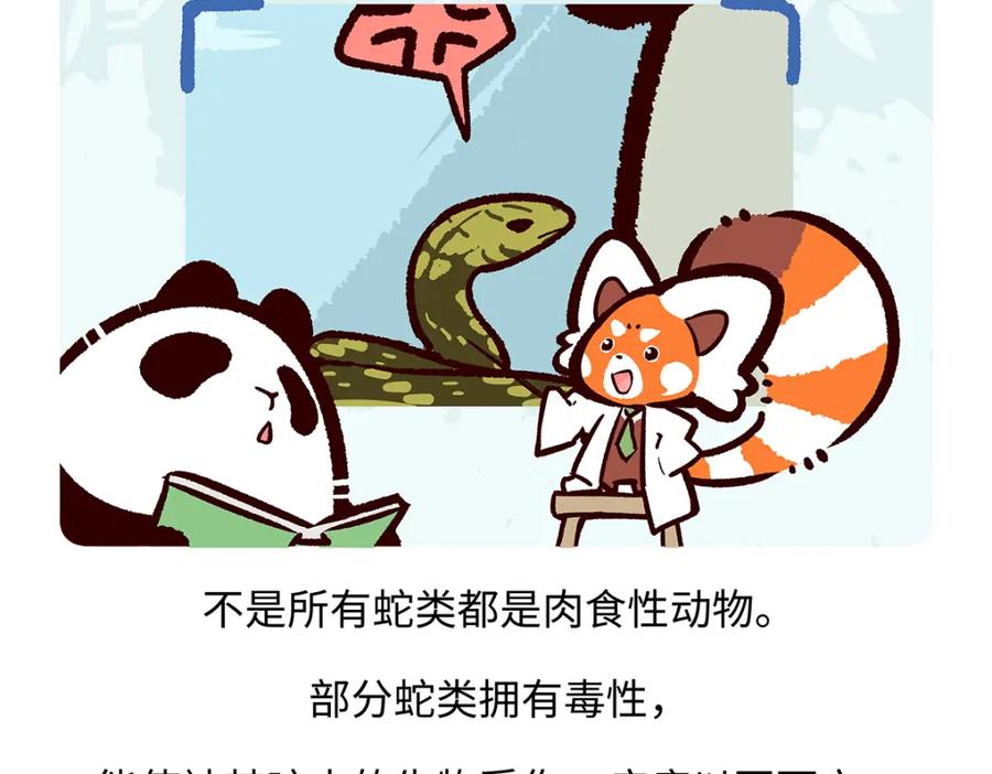 《胖达x胖达》第163话 第24页