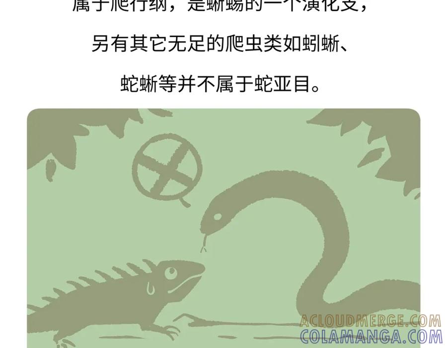 《胖达x胖达》第163话 第19页