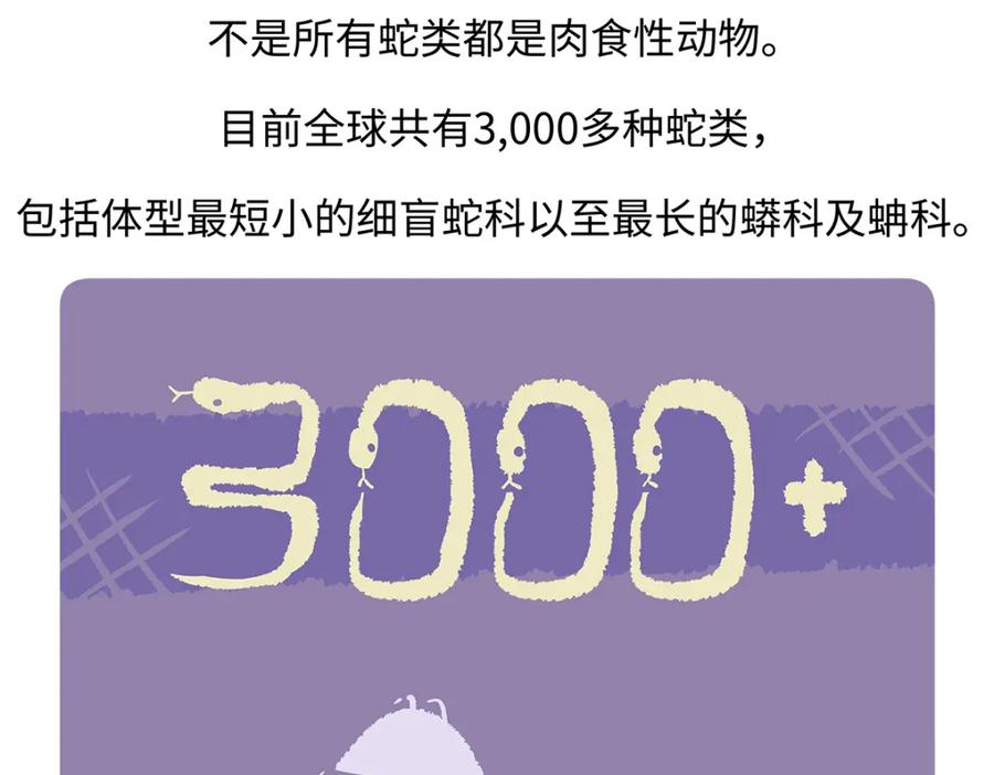 《胖达x胖达》第163话 第28页