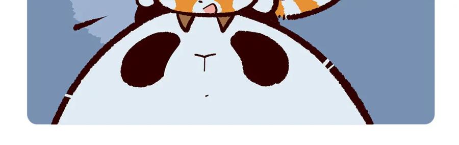 《胖达x胖达》第163话 第4页