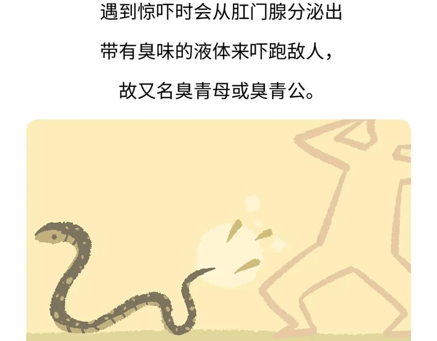 《胖达x胖达》第164话 第28页