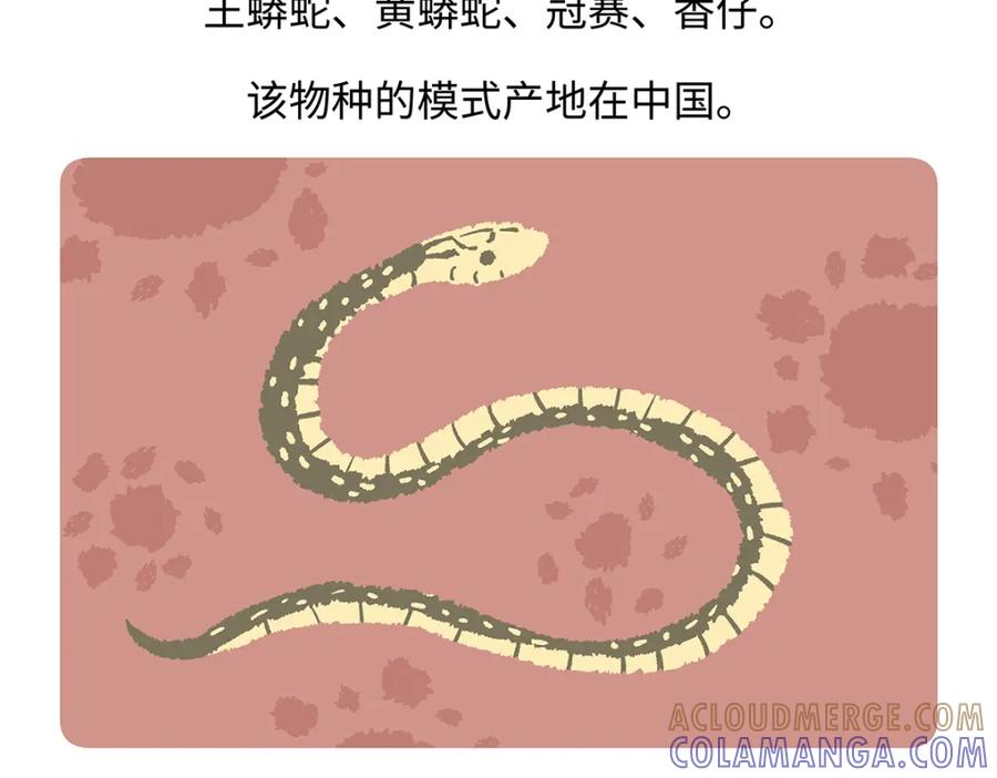 《胖达x胖达》第164话 第27页