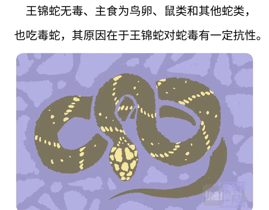 《胖达x胖达》第164话 第30页
